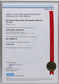 KEMA certificate for 24kV 630A Rear  connector per IEC 60502